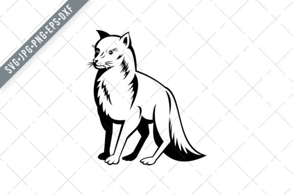 Arctic Fox Polar Fox or Snow Fox: A Designer's Review