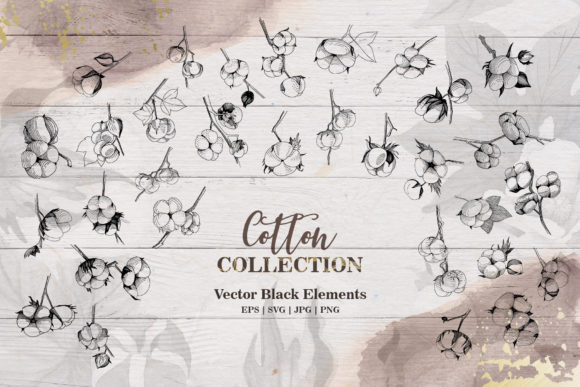 Cotton Collection Set: Graphics & Illustrations Review