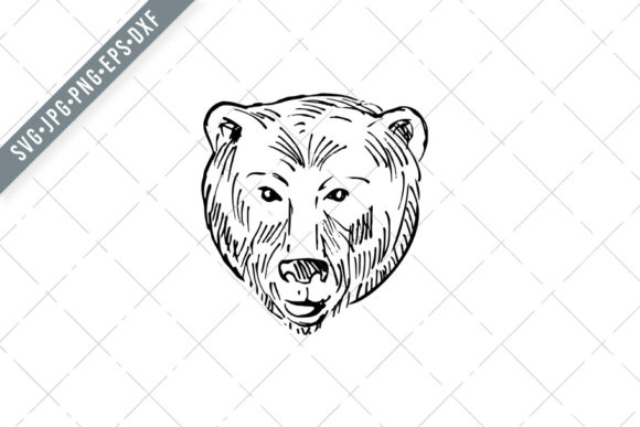 Head of a Brown Bear Ursus Arctos Graphics and Illustrations Review