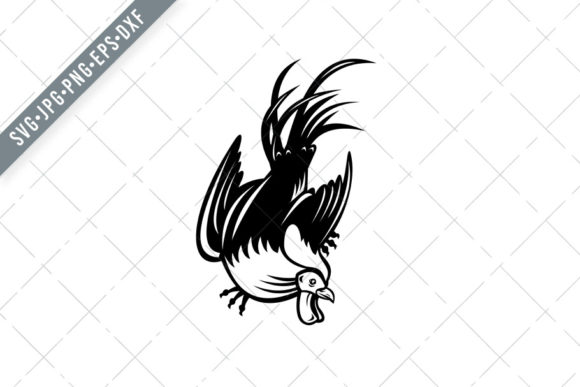 Junglefowl Cockerel or Rooster Graphics for Bold Branding