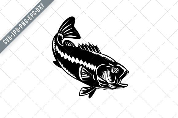 Largemouth Bass Diving Down Graphics and Illustrations Review