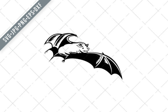 Megabat Old World Fruit Bat Graphics for Illustrations