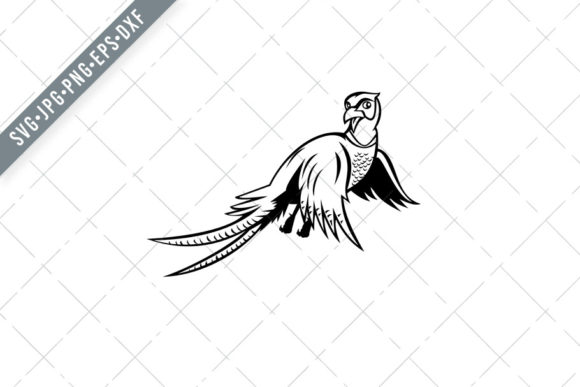 Ring-Necked Pheasant Flying Cartoon Graphics for Illustrations