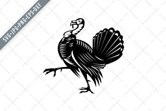 Wild Turkey Marching Side View Retro Graphics & Illustrations Review